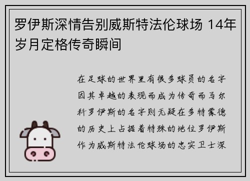 罗伊斯深情告别威斯特法伦球场 14年岁月定格传奇瞬间